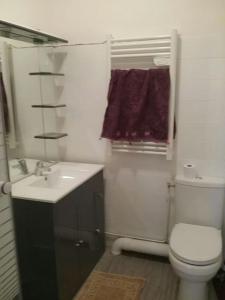 een badkamer met een wit toilet en een wastafel bij Escapade dans le Golfe du Morbihan - T2 3ème étage in Auray