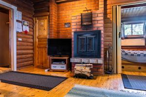 sala de estar con chimenea y TV en Aamun Kajo, en Kuusamo