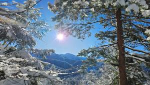 a view of the mountains through snow covered trees at Apartament 920m n.p.m. in Zakopane