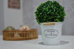 Gallery image of AROMA APARTAMENTO OLVERA in Olvera +14 photos