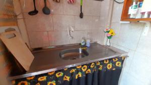 eine Küchentheke mit einem Waschbecken mit Blumen drauf in der Unterkunft Hostel Loli in Puerto Iguazú