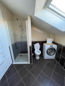 uma casa de banho com um WC, um chuveiro e uma máquina de lavar roupa em Gîte Rose des Vignes em Voegtlinshoffen