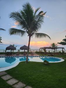 a palm tree sitting next to a swimming pool at Pousada Mayon in Cumuruxatiba