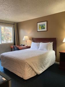 een hotelkamer met een groot bed en een raam bij Travelodge by Wyndham Canyonville in Canyonville