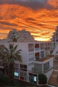 um edifício com uma palmeira em frente a um pôr-do-sol em Appartement 41m2 wifi, climatisé : La Grande Motte em La Grande-Motte
