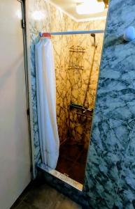 a shower with a white shower curtain in a bathroom at Alon Ayun Centro Dpto 1 in Mendoza
