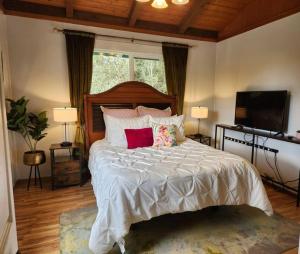 a bedroom with a large bed with pillows and a television at Lava Lover's Getaway in Volcano