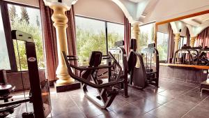 Aït Imouni的住宿－Villa et 3 bungalows Vert，一个带健身器材的健身房,位于带窗户的房间
