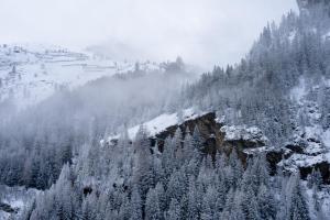 une montagne recouverte de neige avec des arbres dans l'établissement Tignes les Brévières - Chalet Chardonnay, à Tignes