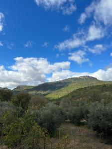 uma vista para uma montanha verde com um céu azul em Casa Maria en Linarejos em Orcera