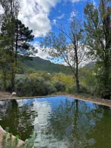 uma piscina de água com árvores e montanhas ao fundo em Casa Maria en Linarejos em Orcera