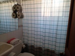 y baño con aseo y cortina de ducha. en Acogedora Habitación, en Santiago