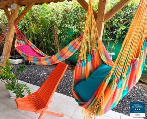 a couple of hammocks hanging from a pergola at Gîtes Les Bienheureux - Piscine, Hamak, Terrasse in Anse-Bertrand