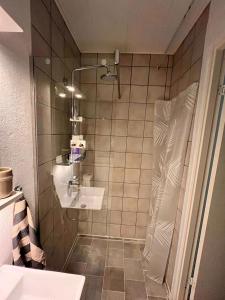 W łazience znajduje się prysznic i umywalka. w obiekcie Shruti's Home w Billund