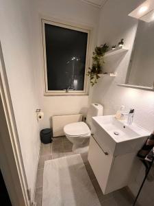 een badkamer met een toilet, een wastafel en een raam bij Shruti's Home in Billund