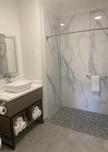 a bathroom with a shower with a sink and a mirror at MainStay Suites Columbia Harbison in Columbia