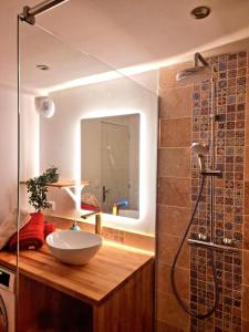 uma casa de banho com um lavatório e um chuveiro em Studio 1 Sofa no Bedroom em Montpon-Ménestérol