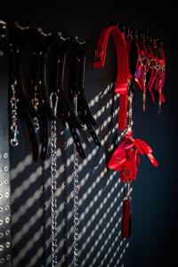 Fotografie z fotogalerie ubytování Erwachsenenhotel BDSM Apartment Hotel Emotion Apartments mit privater Sauna und Whirlpool v destinaci Vlotho