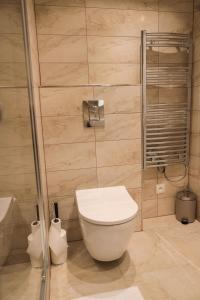 ein Bad mit einem WC und einer Dusche in der Unterkunft Apartment Schober in Jáchymov
