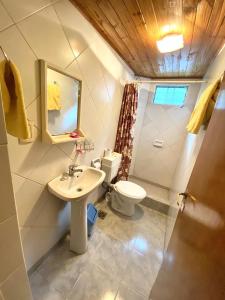 a bathroom with a sink and a toilet and a mirror at Hospedaje Los Nietos in El Calafate