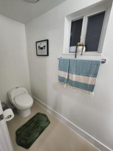 a bathroom with a toilet and a window and a rug at The 305 in Miami