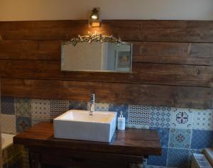 ein Badezimmer mit einem weißen Waschbecken und einem Spiegel in der Unterkunft Séminaire à 14 comme à la maison ! in Aubigny-sur-Nère