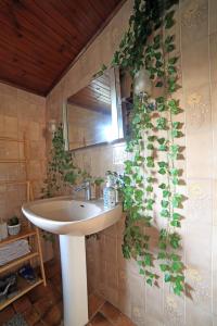 baño con lavabo y plantas en la pared en Chambre 2, calme, 1 station de PARIS en Maisons-Alfort