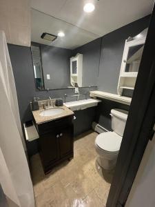 a bathroom with a toilet and a sink at Cozy Spacious Guest Suite in Englewood