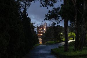 uma estrada arborizada com um edifício ao fundo em Mùa Dalat Wellness Hotel em Da Thien