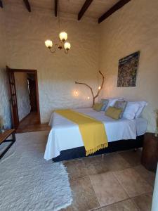 a bedroom with a large bed in a room at Le Jardim in Alto Paraíso de Goiás