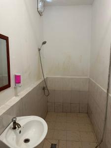Bagno di Nest Jungle