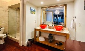 a bathroom with a sink and a shower and a mirror at Amethyst Garden in Savannah
