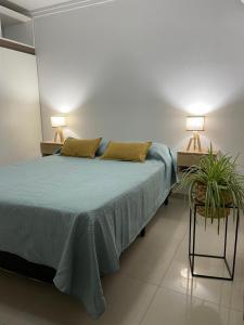 a bedroom with a bed with two lamps and a plant at Edificio del Sur in Santiago del Estero