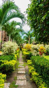 a stone path in a garden with palm trees at Tiki Hut Hostel in Palomino