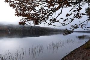 a view of a large lake with trees in the background at Islander Lodge - Lochaber Lake Lodges in Antigonish