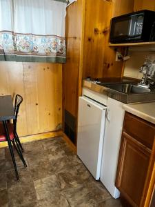 una pequeña cocina con fregadero y nevera. en Lazy Duck Inn en West Yellowstone