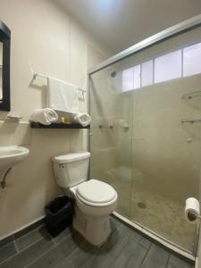 La salle de bains est pourvue de toilettes et d'une douche en verre. dans l'établissement Departamento Ecoface Vallarta, à Puerto Vallarta