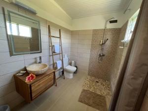 a bathroom with a sink and a shower at 972B-Coin de verdure au pied de la Montagne Pelée in Le Morne Rouge +35 photos