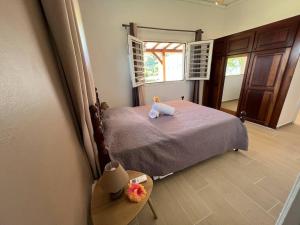 a bedroom with a bed and a table and a window at 972B-Coin de verdure au pied de la Montagne Pelée in Le Morne Rouge