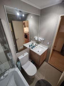 La salle de bains est pourvue de toilettes, d'un lavabo et d'un miroir. dans l'établissement Departamento centro Chillán, à Chillán