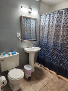Blue Shark *G15* @ Montrose Private 1BR King Apartment في هيوستن: حمام مع مرحاض ومغسلة ودش
