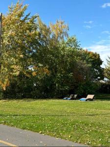 two park benches sitting in the grass in a park at Cozy Spacious Work Friendly Lotus with Garden View High speed free Wi Fi and Parking Adjacent to Downtown Montreal in Montreal