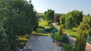 an overhead view of a garden with trees and umbrellas at Vila Zorii Zilei in Baile Felix