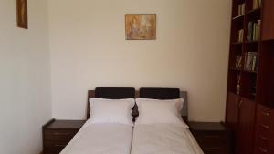 a bedroom with two beds and a book shelf at Vila Zorii Zilei in Baile Felix