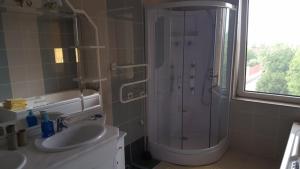 a bathroom with a shower and a sink at Vila Zorii Zilei in Baile Felix