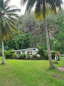 una casa en un campo con dos palmeras en CHEZ VAIANA, en Parea