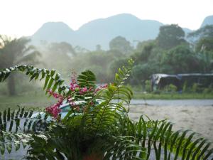 Un paisaje natural cerca de la habitación en casa particular