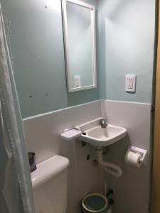 bagno con lavandino, servizi igienici e specchio di Brisa a San Antonio de Areco