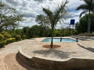 a palm tree sitting next to a swimming pool at Dee Park Entertainment Centre in Thohoyandou
