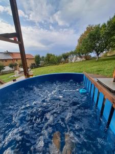 a plunge pool in a yard with a dog in it at Coliba la Valle in Petroşani